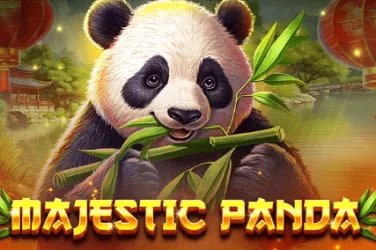 Player enjoying live casino game on mobile in Philippines